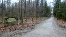 Blick auf die Wanderstrecke durch den Kaiserwald 